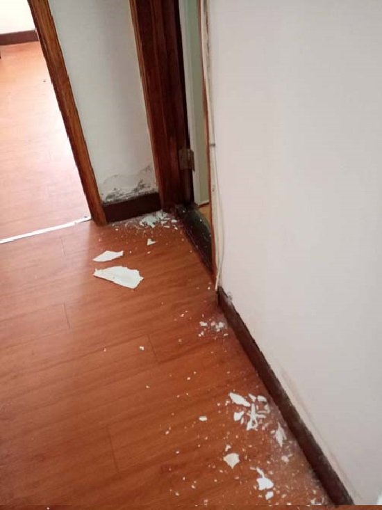 桃園室內油漆修復工程