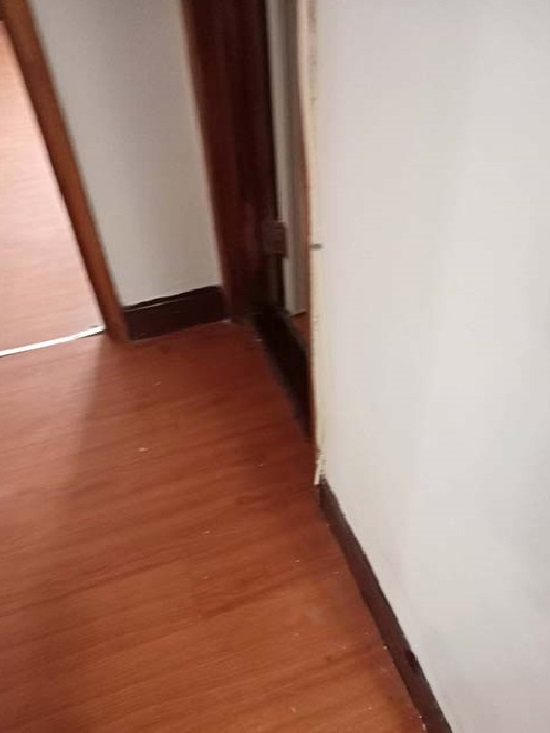 桃園室內粉刷油漆工程