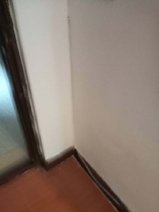 桃園室內牆面油漆修復工程