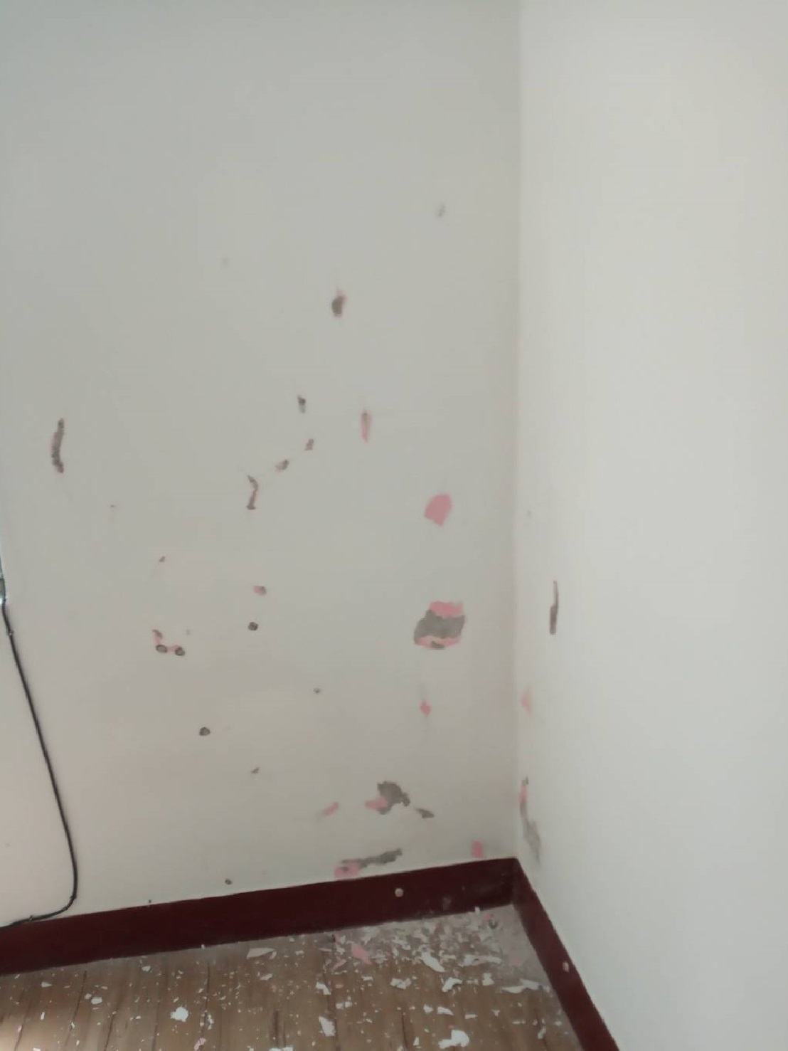 桃園牆面壁癌修復