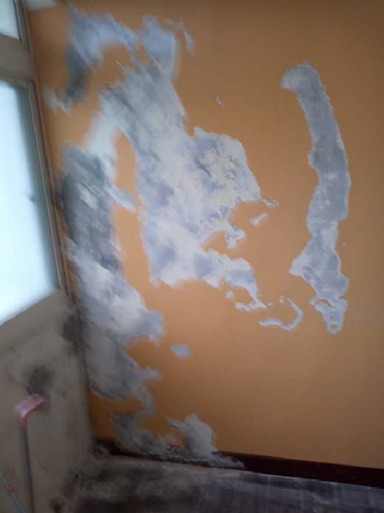 桃園住家壁癌整修